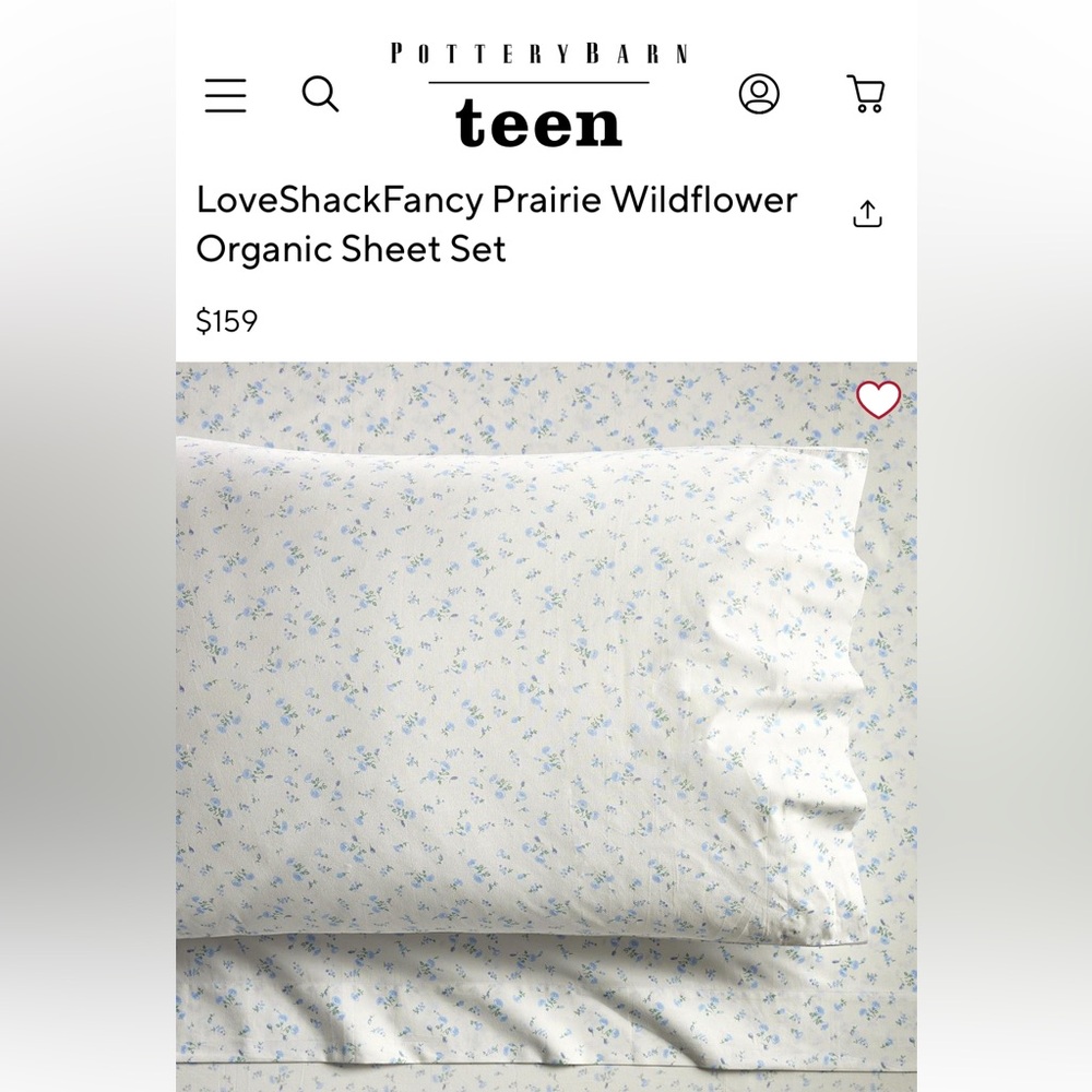 Pottery Barn Teen Prairie Wildflower Organic Sheet Set - Blue and White